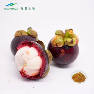 Nhà sản xuất cung cấp nguyên liệu chất lượng tốt nhất măng cụt bột để bán - Product Image 1