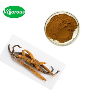 100% טהור טבעי Cordycepin <span class=keywords><strong>Cordyceps</strong></span> Sinensis תמציות אבקה - Product Image 4