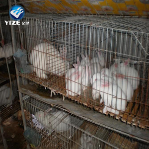 Sıcak satmak kolay temiz tavşan kafesi endüstriyel besi et ticari tavşan kafesi ucuz kullanılan tarım Metal sağlanan tavşan evi - Product Image 4