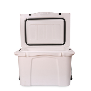 Wholesale Supply Cooler Box CANS Insulated 7 Days Letter CARTON+PE Bag Customized Logo Acceptable Within 20 Days Optional CN;ZHE