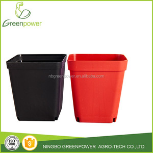 กระถางดอกไม้ทำสวนพลาสติกสีสันสดใสทรงสี่เหลี่ยมขนาดเล็ก - Product Image 2