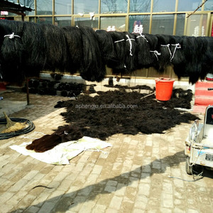 Crin de Caballo Natural en Venta - Product Image 3
