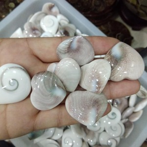 Gemme Sciolte a Forma di Cuore in Conchiglia Marina Naturale a Prezzo di Fabbrica - Product Image 6