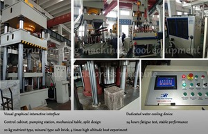 Presse hydraulique <span class=keywords><strong>de</strong></span> 800 tonnes pour blocs <span class=keywords><strong>de</strong></span> sel minéral <span class=keywords><strong>de</strong></span> 15 kg - Product Image 6