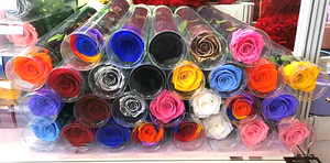 <span class=keywords><strong>Rosas</strong></span> Preservadas en Caja <span class=keywords><strong>de</strong></span> PVC <span class=keywords><strong>de</strong></span> 35 Colores Personalizadas <span class=keywords><strong>de</strong></span> Fábrica, con <span class=keywords><strong>Tallo</strong></span>, para San Valentín y Bodas, Conservación con Glicerina, <span class=keywords><strong>Precio</strong></span> <span class=keywords><strong>de</strong></span> Fábrica - Product Image 6