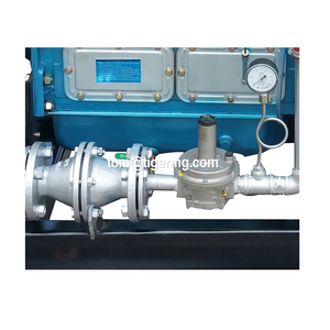 Cogenerazione combinata del generatore di Biogas di calore ed energia - Product Image 6
