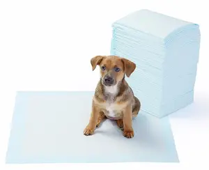 ペット子犬トレーニングパッド犬おしっこトイレパッド400カウント23 "x23" 超吸収性リークプルーフウィーパッド