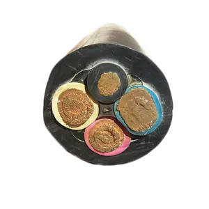 1 Sq Mm To 240 Sq Mm/14 AWG To 500 MCM Irrigations And Swimming Pools Submersible Cable 3C X 30mm2