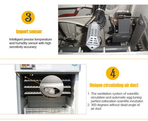 Incubateur automatique pour œufs de poulet HHD, garantie 3 ans, 528 œufs, à vendre, YZITE-8 - Product Image 3