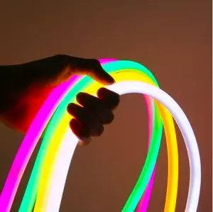 12V 24V 110V 220V 2835 5050 outdoor waterproof IP67 led flexible hose neon flex rope tube strip light IP68