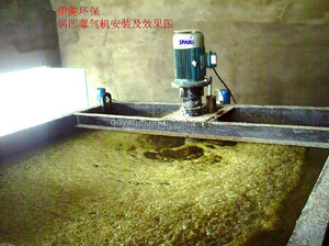 Pompe à flottation d'<span class=keywords><strong>air</strong></span> 220V, moteur PLC, générateur de micro-<span class=keywords><strong>nano</strong></span>-bulles pour la désinfection de l'eau, équipement de traitement de l'eau de base - Product Image 3