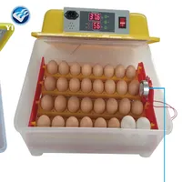 48 incubadora automática transparente ovo, incubadora para ovos torneamento controlador de temperatura