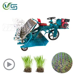 High quality 6 rows paddy rice transplanter/paddy planter/rice seedling planting machine for sale