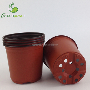 Chậu Nhựa Bắt Đầu 15Cm/150Mm Để Cấy Hoa - Product Image 3