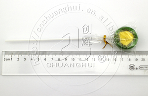 10g de Tranches de Fruits Plat Sucette À La Main - Product Image 4