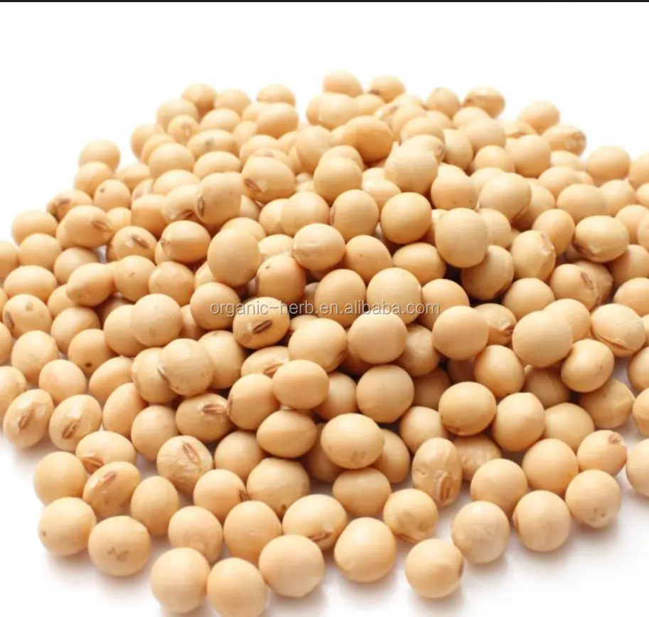 Soy Products Soy Protein Lecithin / Soy Saponins