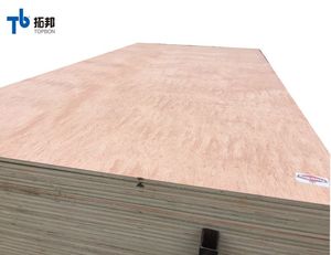 มะฮอกกานีชั้นไม้อัดขนาดราคาดี - Product Image 5