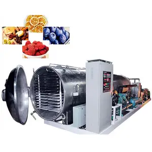 Freeze Dried Fruit Juice Powder / Freeze Dryer China / Bulk Freeze Dried Food Machinery