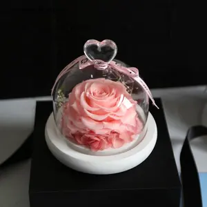 Beste Kwaliteit Veilig Verzending Kleine Size Mini Glas Dome Rose Geconserveerde Rozen