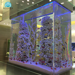 Fabrikant Professionele Aangepaste Hoge Kwaliteit Decoratie Live Dolfijn Hotel Vis Aquarium - Product Image 3