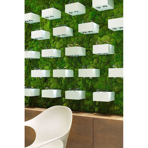 Exhibidor de Tienda Óptica Personalizado LUX Nuevo Modelo LUX-OpSD-269 con Garantía de 5 Años, 500 Tiendas Anuales para Óptica - Product Image 4