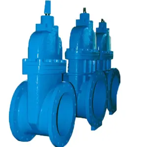 Diameter DN50 ~ DN600 Gietijzeren Materiaal Veerkrachtig-Zittende Gate Valve Met Flens