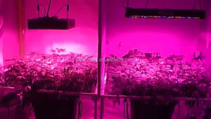 Venta caliente 2016 espectro completo llevado crece la luz Apolo 8 crece la luz planta de luz luces de jardín - Product Image 4