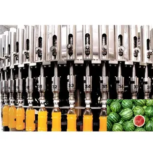 Watermelon Juice Production Line/Watermelon Juice Filling Packing Machine