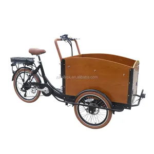 典型的家庭孩子和宠物运输锂电池 Pedelec Cargo E Trikes