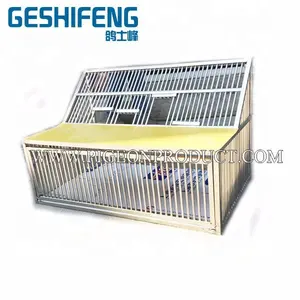 Cage de saut pliable en métal pour pigeon de course oiseau en champion