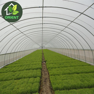 البيوت الزجاجية عالية النفق المستخدمة للبيع - Product Image 6