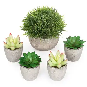 Set of 5 Artificial Succulent Plants Potted for Home, Bath, Office Decor Gift - Faux Potted Plants - Assorted Artifical Decor