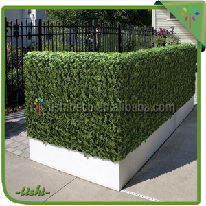 Fabricant de haute qualité <span class=keywords><strong>pas</strong></span> <span class=keywords><strong>cher</strong></span> vente directe vente en plein air artificielle <span class=keywords><strong>buis</strong></span> - Product Image 1