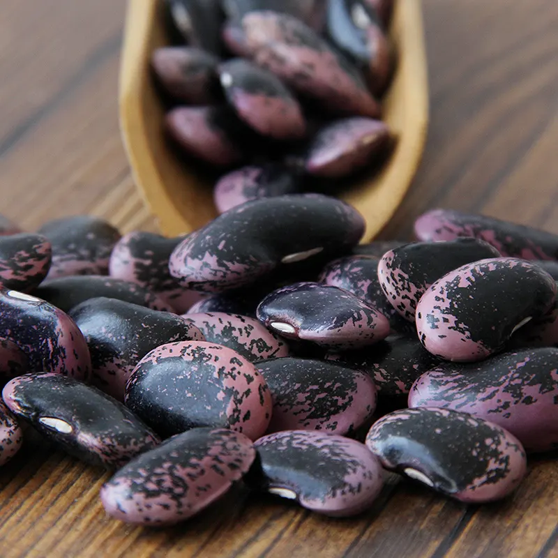 Dried large black speckled kidney bean