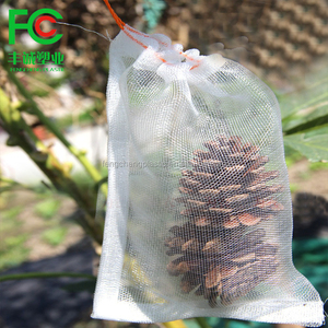 Muestra gratis de gran tamaño transparente de red de insectos proveedor de frutas de la agricultura blanco bolsa de malla de barrera bolsa de red - Product Image 5