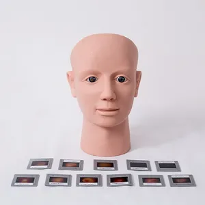 जी. डी./LV14 सामान्य डॉक्टर उन्नत Ocular निरीक्षण सिम्युलेटर के Retinopathy - Product Image 1