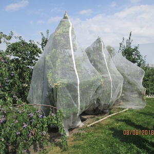 Chống côn trùng net lều với dây kéo cho bìa trái cây cây bảo vệ lưới túi - Product Image 6