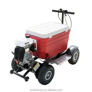 Heißer Verkauf Gas Cooler Scooter für BBQ/43cc EPA Eis Brust Roller (TKS-S43)
