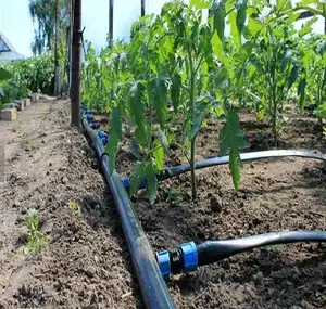 2024 sıcak satış çin fabrika sulama hortumu irrig sistemi 1 hektar modeli tarım damla sulama bant sistemi çiftlik damla şeridi