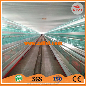China al por <span class=keywords><strong>mayor</strong></span> jaulas capa de <span class=keywords><strong>pollo</strong></span> para la venta en el sur de África - Product Image 3