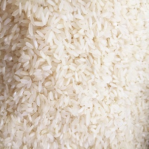 Arroz Basmati Sharbati Seco de Textura Dura de la Mejor Calidad, Grano Mediano, para Mercados de Exportación Globales - Product Image 3