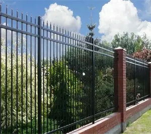 Zink Stahl Zaun Panels Tore und Stahl Zaun Design Schwarz Metall Eisen Sprüh farbe Garten Sicherheits zaun