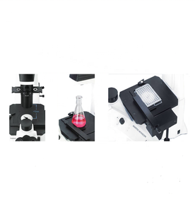BDS400 de larga distancia de trabajo biológico invertida <span class=keywords><strong>darkfield</strong></span> en análisis de sangre microscopio - Product Image 6