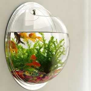 Acrylic Round Wall Mount Fish Bowl Aquarium TankためGold FishとJelly Fish Plant Vase Home Decoration 15センチメートルDiameter