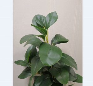 FC7515 Venta caliente plantas artificiales <span class=keywords><strong>Senecio</strong></span> cineraria Dusty Miller verde - Product Image 5