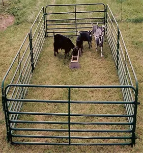 Australia/New Zealand Hot Sale Portable Horse Cattle Yard Panel Fences 1.8m Highx6 Bars Or 1.6m Highx5 Bars