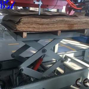 เครื่องจักรผลิตไม้อัดผิวประตูความเร็วสูง/เครื่องจักรผลิตแผ่นไม้อัดไม้อัด