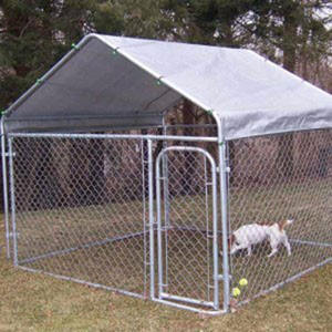 Moderne 4M X 4M X 1.83M Hondenkennel En Dierenverblijf Ijzeren Dierenhekwerkbox Met Hardloopmetalen Stijl - Product Image 5