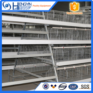 Equipos gallinero jaula <span class=keywords><strong>de</strong></span> <span class=keywords><strong>pollos</strong></span> <span class=keywords><strong>de</strong></span> <span class=keywords><strong>engorde</strong></span> para la <span class=keywords><strong>venta</strong></span> en filipinas - Product Image 5