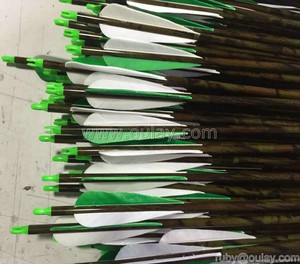 Boogschieten Outdoor Compound Boog Recurve Boog Camouflage Koolstofvezel Pijlen Voor De Jacht En Schieten - Product Image 6